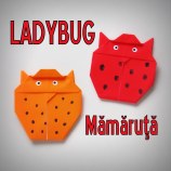 ladybug blog
